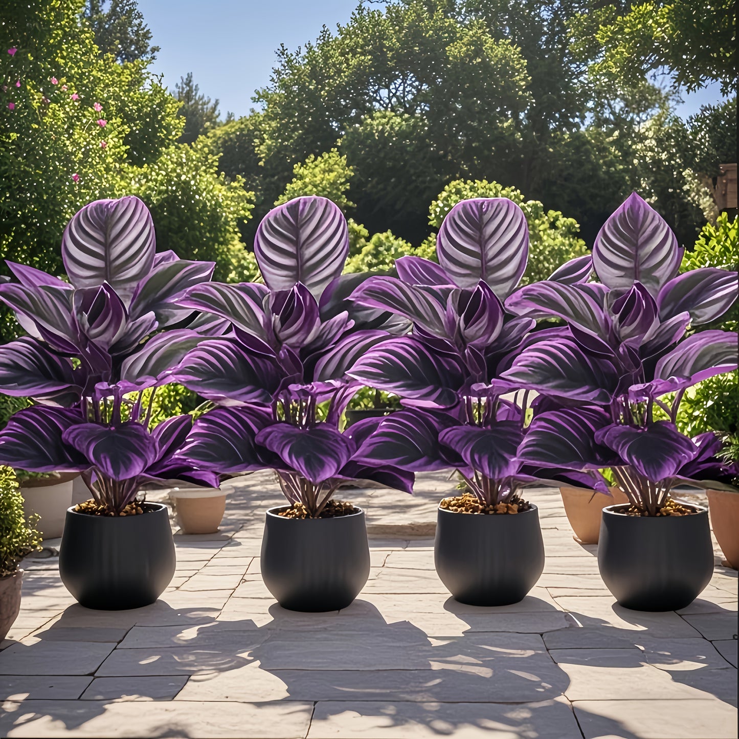Premium Faux Plant Design – 4pcs Extra Large Artificial Purple Leaf Set
