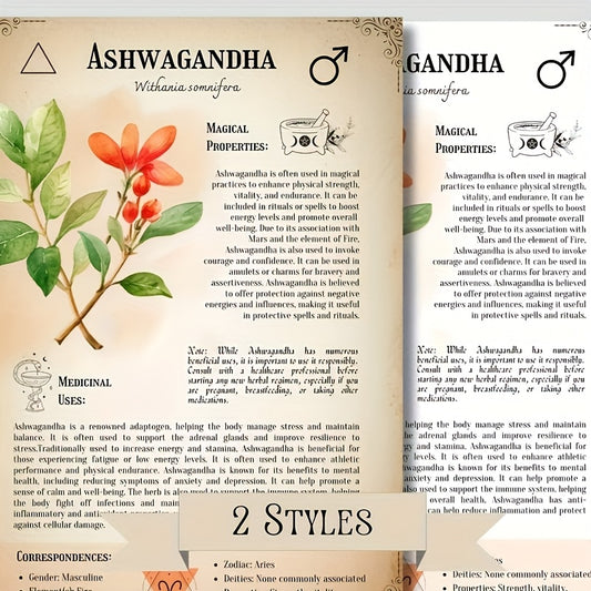 Ultimate Medicinal Herbs Collection Grimoire Notebook