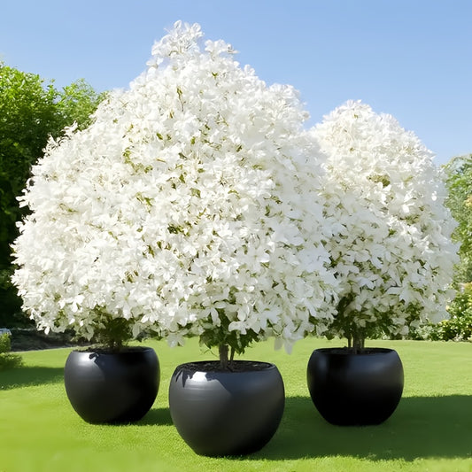 2pcs High-Realism White Cherry Blossom Trees