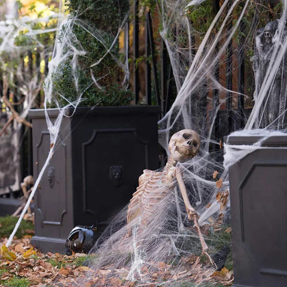 Halloween Spider Web Decoration with Artificial Spider – Stretchy Cobweb for Haunted House, Gothic Home Decor & Spooky Halloween Party