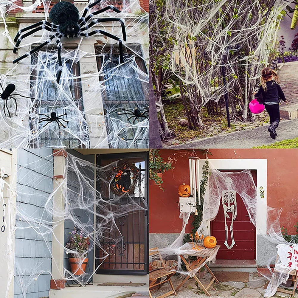 Halloween Spider Web Decoration with Artificial Spider – Stretchy Cobweb for Haunted House, Gothic Home Decor & Spooky Halloween Party