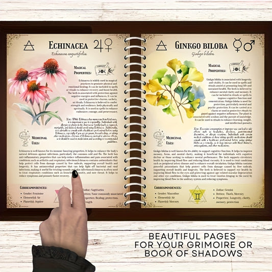 Ultimate Medicinal Herbs Collection Grimoire Notebook