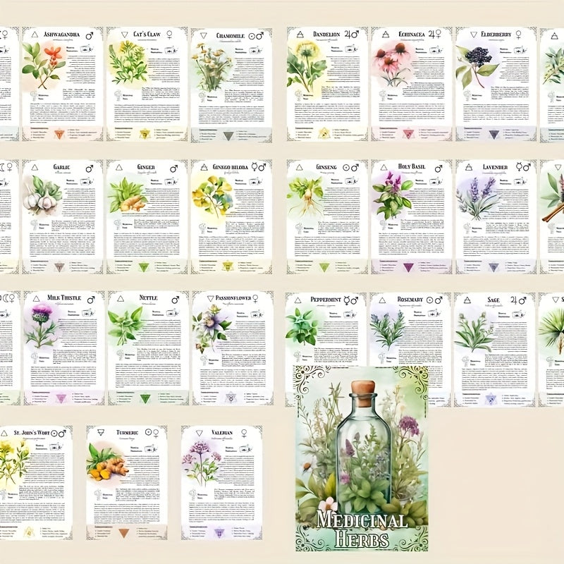 Ultimate Medicinal Herbs Collection Grimoire Notebook